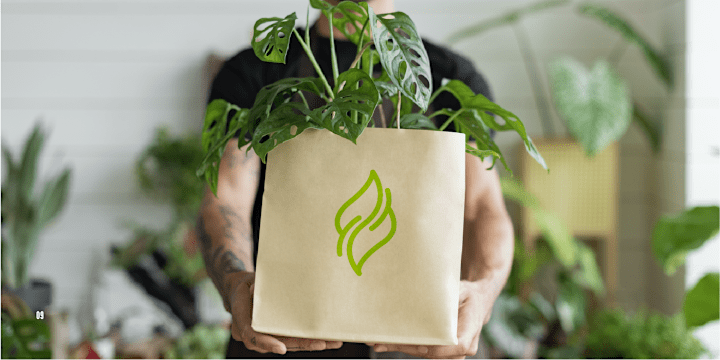 Cover image for NATURA | Branding & Identity