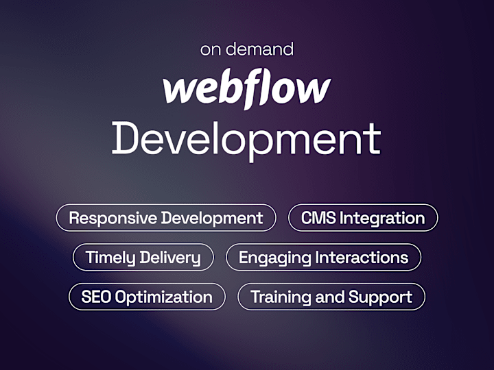 Cover image for Ongoing Webflow Services