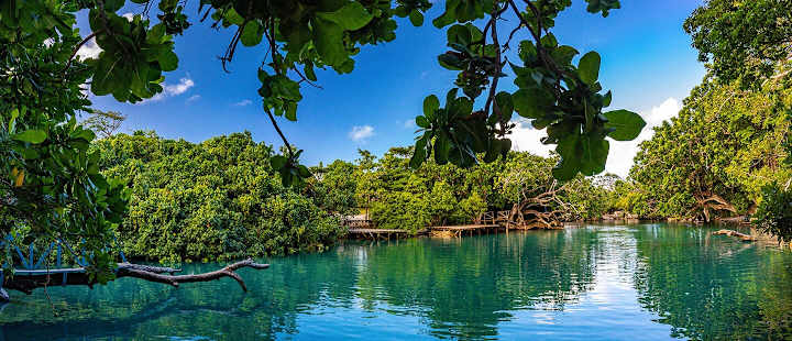 Cover image for Travelling to Vanuatu: What to know before you go