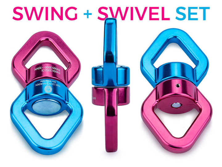 Cover image for The Lion's Garden Swing + Swivel Set