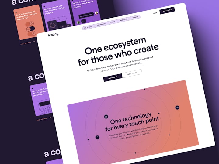 Cover image for Steady Website (Framer Development)
