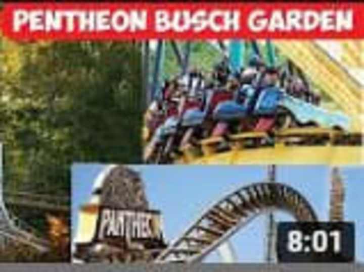 Cover image for BEST COMPILATION OF PANTHEON BUSCH GARDEN