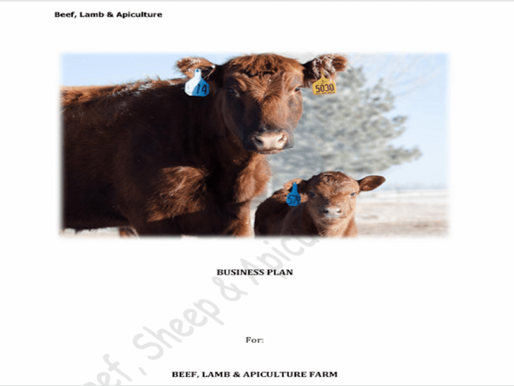 Cover image for Business Plan for Beef, Lamb & Honey Farm.