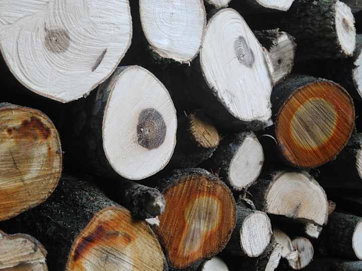Cover image for Research and Analysis on Wood Laminates