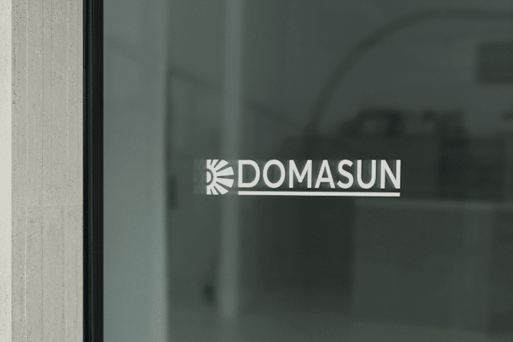 Cover image for Forging the Future: Domasun's Vision for Your Digital Presence