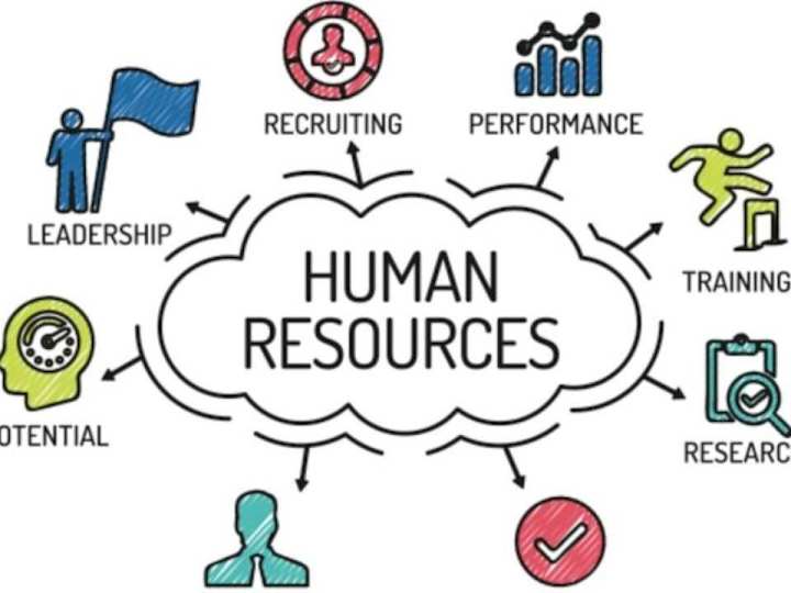 Cover image for Professional virtual assistant 