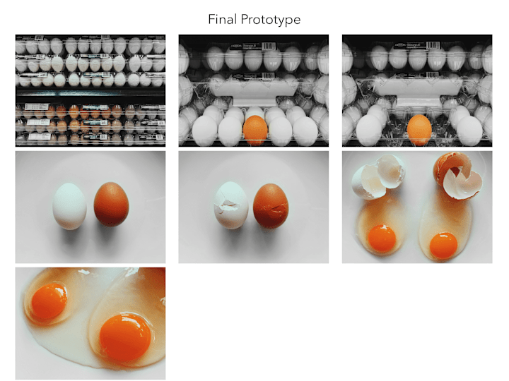 Cover image for Photography Project | We're All the Same On the Inside