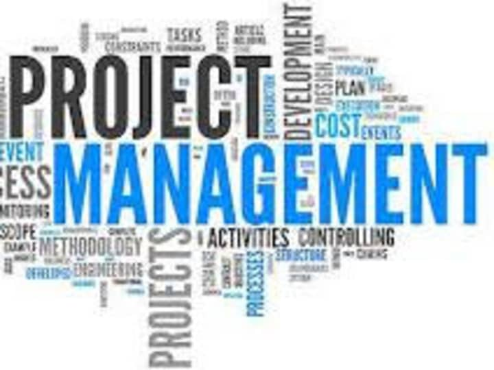 Cover image for Project Management