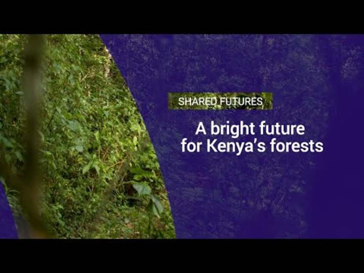 Cover image for A bright future for Kenya's forests - YouTube