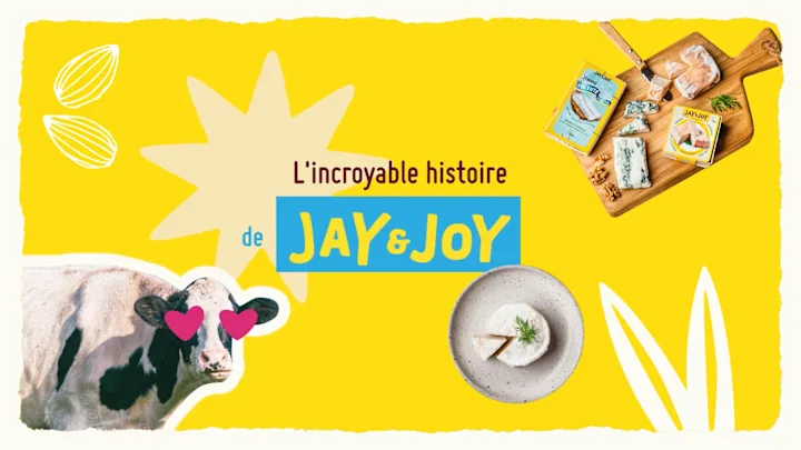 Cover image for The story of Jay&Joy