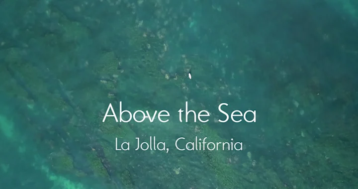 Cover image for Above the Sea - Aerial Videography / Editing