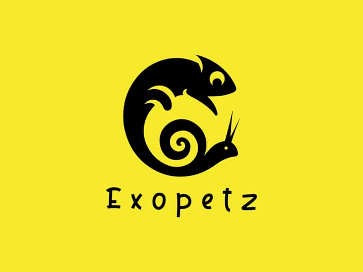 Cover image for Trending Modern and Minimal Logo Design