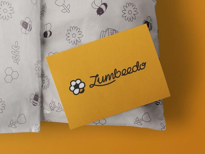 Cover image for Zumbeedo - Visual Identity