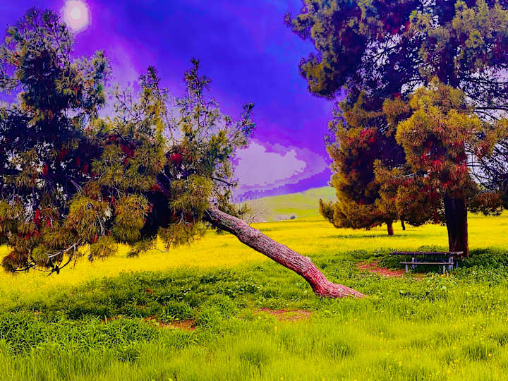 Cover image for Unknown Sacred Realm