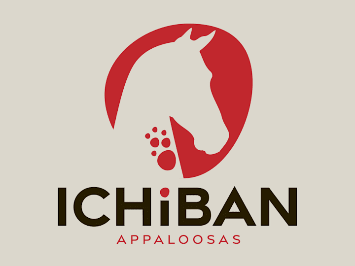 Cover image for Ichiban Appaloosas | Branding a new company