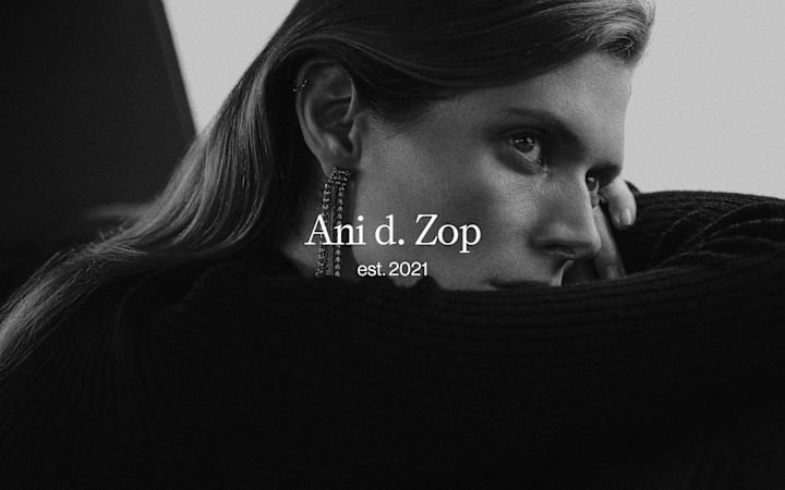 Cover image for ANI D. ZOP IDENTITY