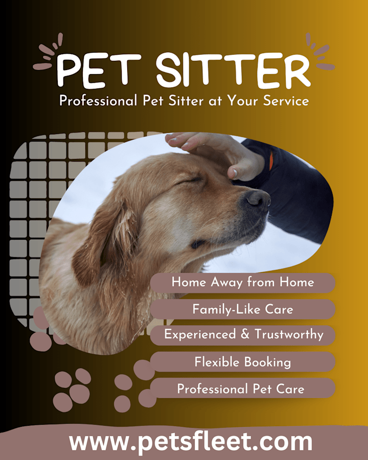 Cover image for infographics design