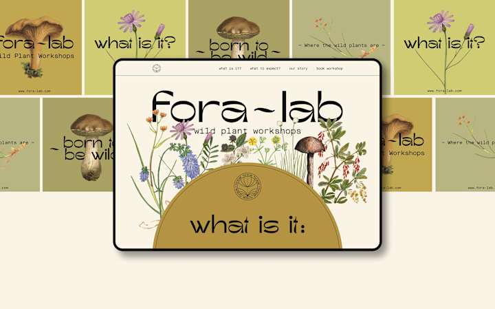 Cover image for Fora-lab