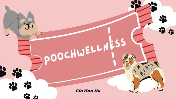 Cover image for PoochWellness — Brand & Website for New Dog Owners