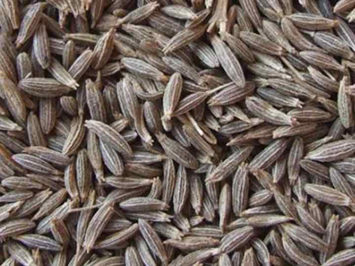 Cover image for Cumin seeds