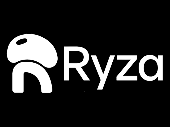 Cover image for Positioning Ryza as a bridge to an underserved market