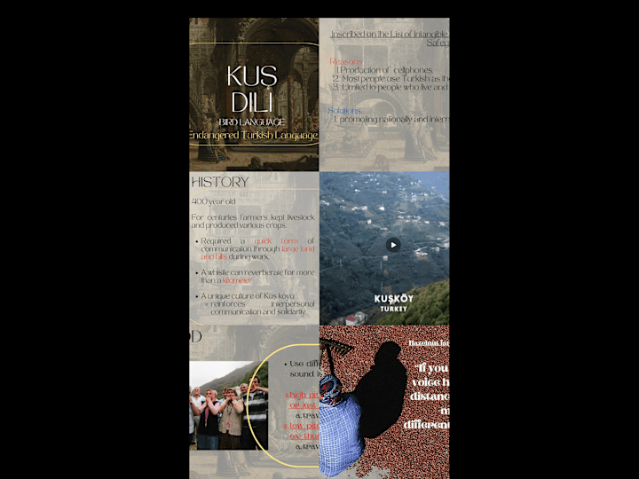 Cover image for Academic presentation