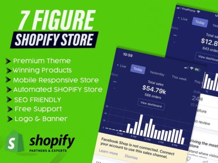 Cover image for I will maximize your online success with shopify redesign store