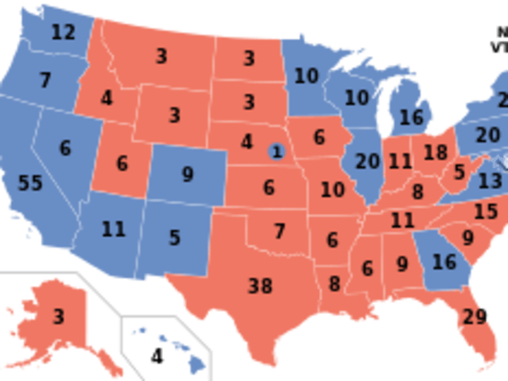Cover image for THE IRRELEVANT ELECTORAL COLLEGE