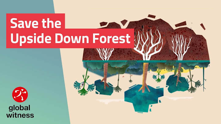 Cover image for What is the Cerrado – and why is it important for our planet?