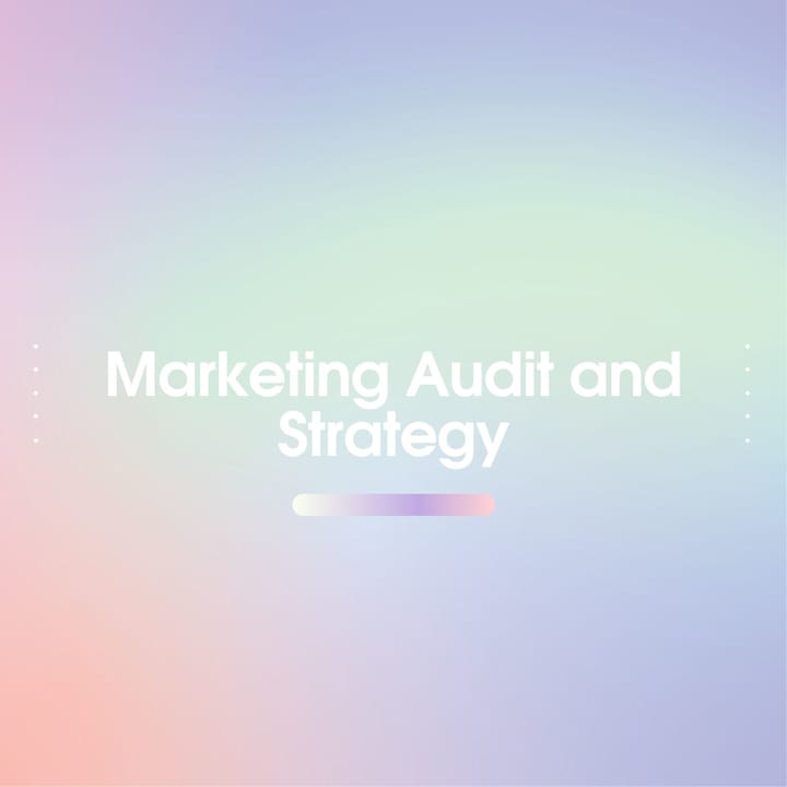 Cover image for Marketing Audit and Strategy