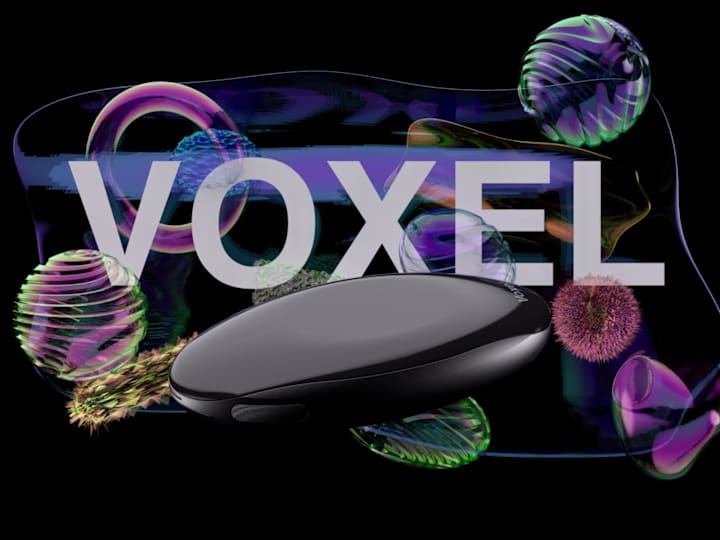 Cover image for Voxel Mouse