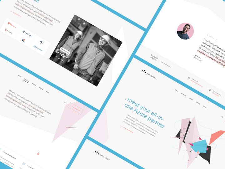 Cover image for Well Advised: Website Design