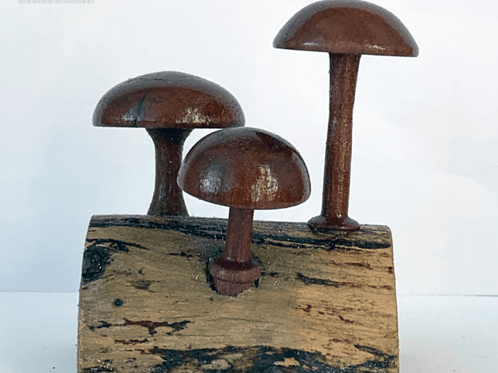 Cover image for Product Images for Craft Business