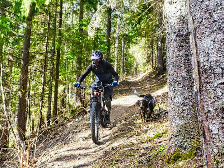 Cover image for Cycling Blogs