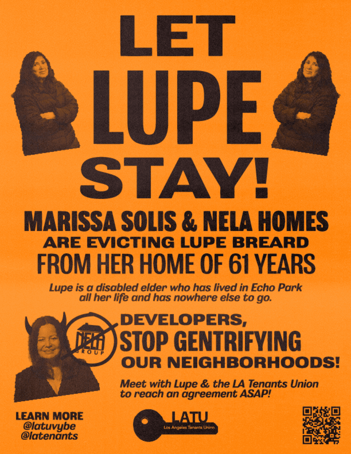 Cover image for LET LUPE STAY!