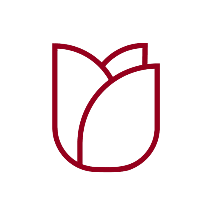 Cover image for Noah Rosecrans LLC. 