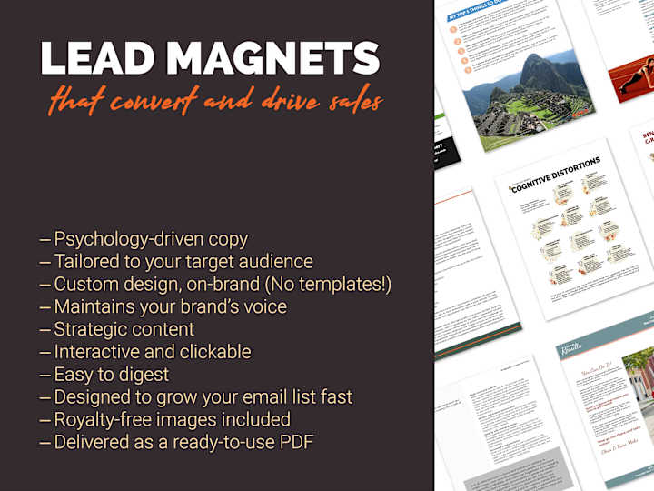 Cover image for I'll craft an effective lead magnet that attracts and converts!