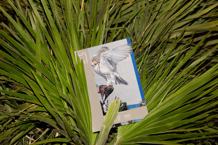 Cover image for Abu Dhabi Art Fair - Key Visual 2022