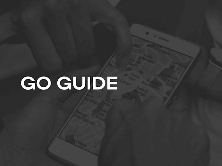 Cover image for GO GUIDE