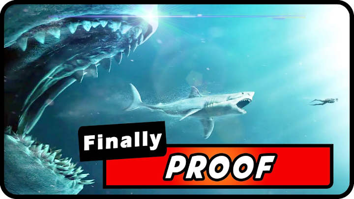 Cover image for FINALLY Proof That Megalodon Sharks STILL Exist!! - YouTube