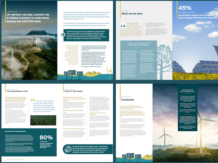 Cover image for Sustainable Finance White Paper