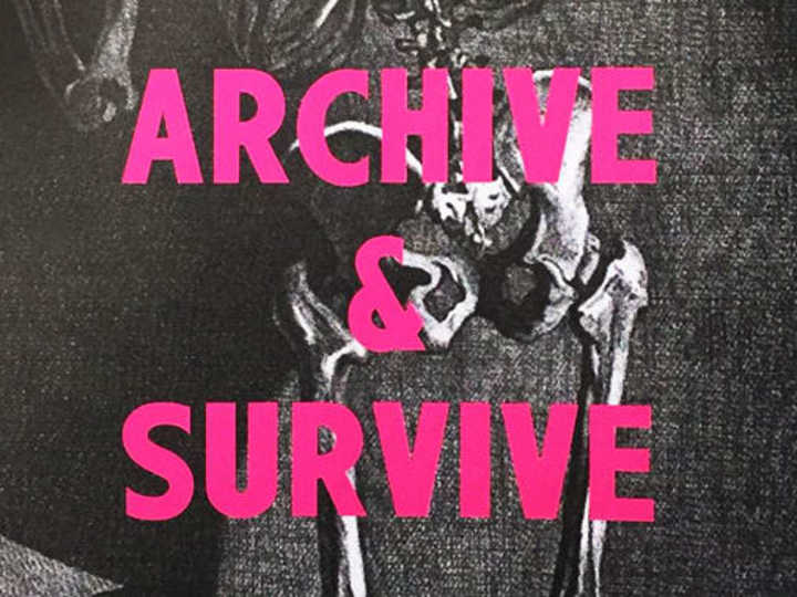 Cover image for Divison Leap Archive Catalogue