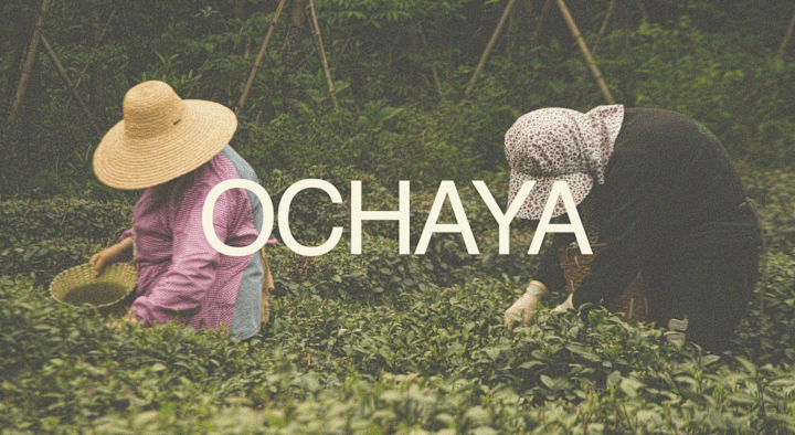 Cover image for Brand Identity & Packaging design- Ochaya 