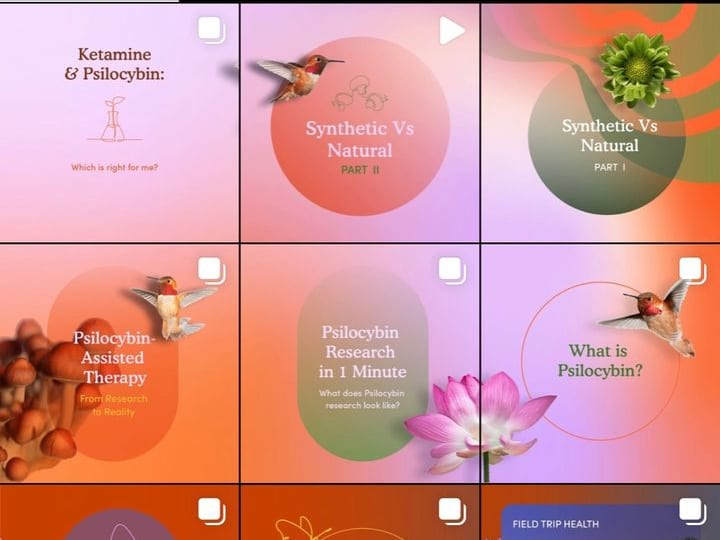 Cover image for Content / Brand Strategy (Field Trip Health IG)
