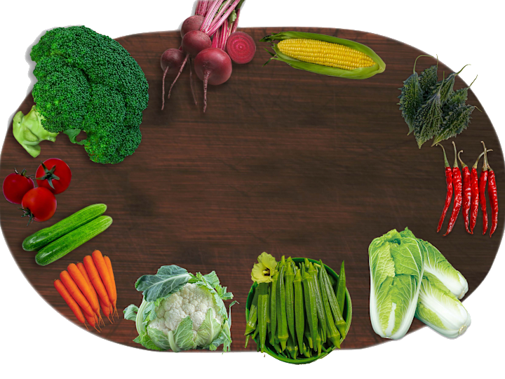 Cover image for Sakata Seed
