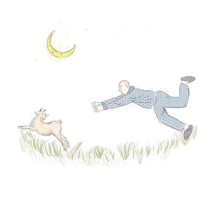 Cover image for Picture book Illustration