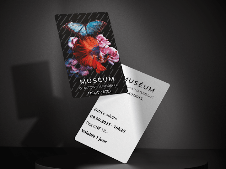 Cover image for MUSEUM ENTRY TICKETS