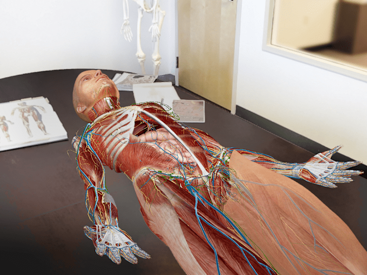 Cover image for Augmented reality human anatomy