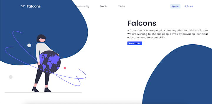 Cover image for Falcons