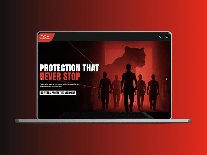 Cover image for Cheetah Safety Shoes